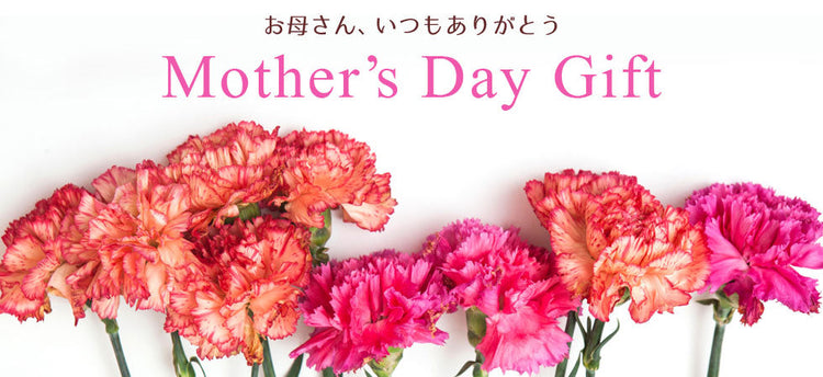 母の日ギフト / mother's day