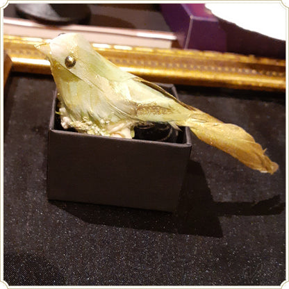 鳥 リング