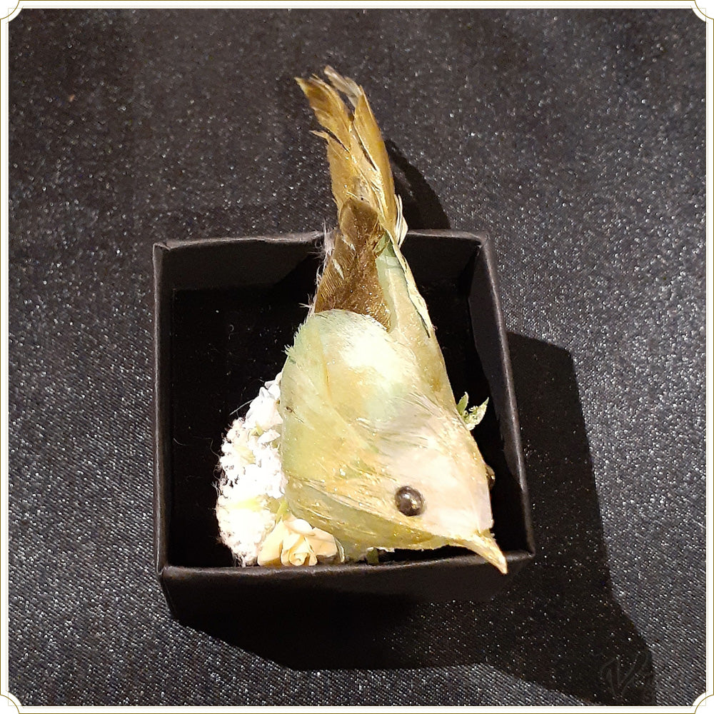鳥 リング