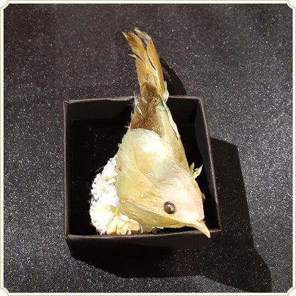 鳥 リング