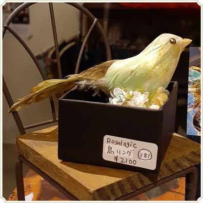 鳥 リング