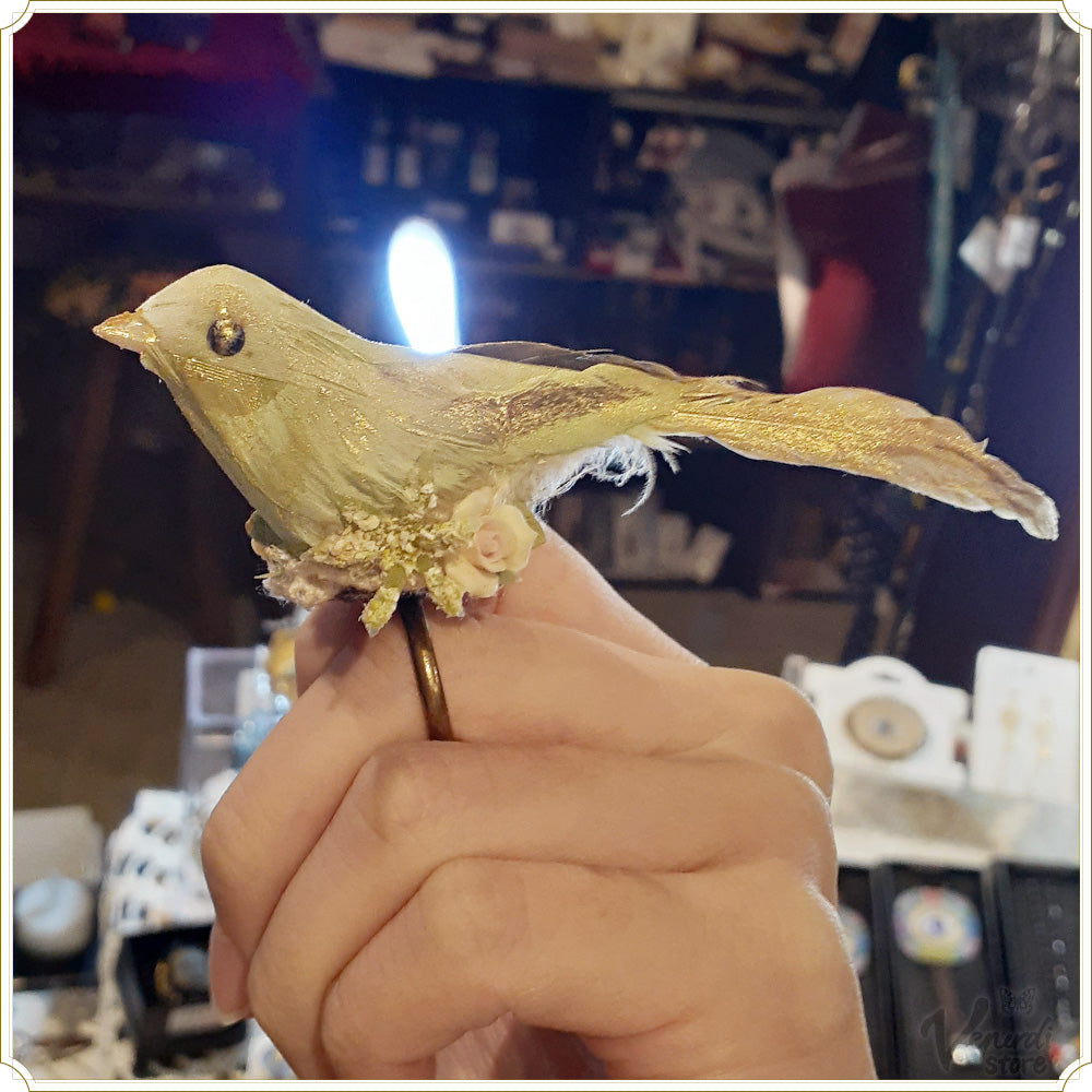鳥 リング