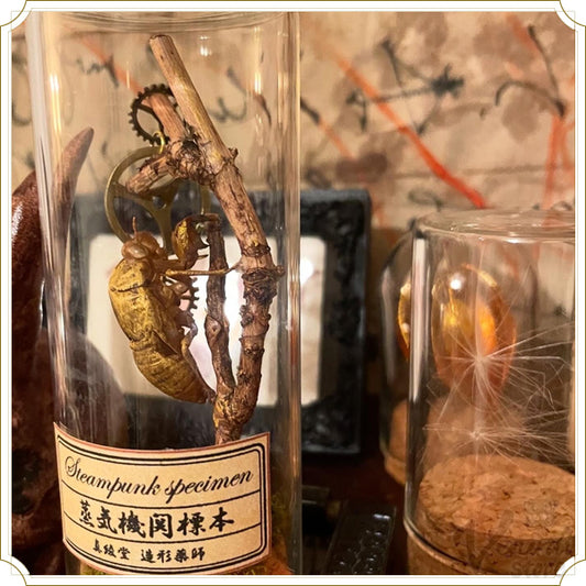 蒸気機関標本/空蝉