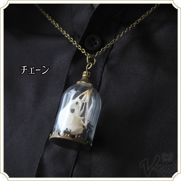 玻璃の標本 −Silent Sanctum- アンティークゴールド