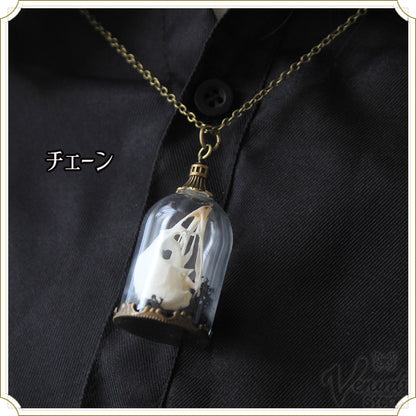 玻璃の標本 −Silent Sanctum- アンティークゴールド
