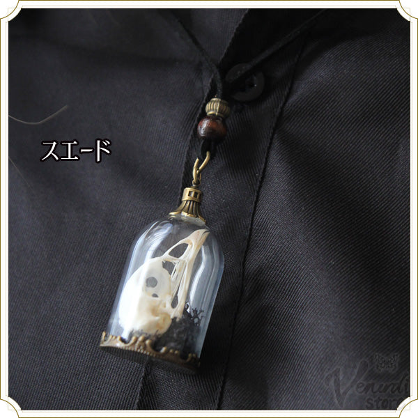 玻璃の標本 −Silent Sanctum- アンティークゴールド