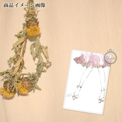 アートポストカード”Girls”5レッグ